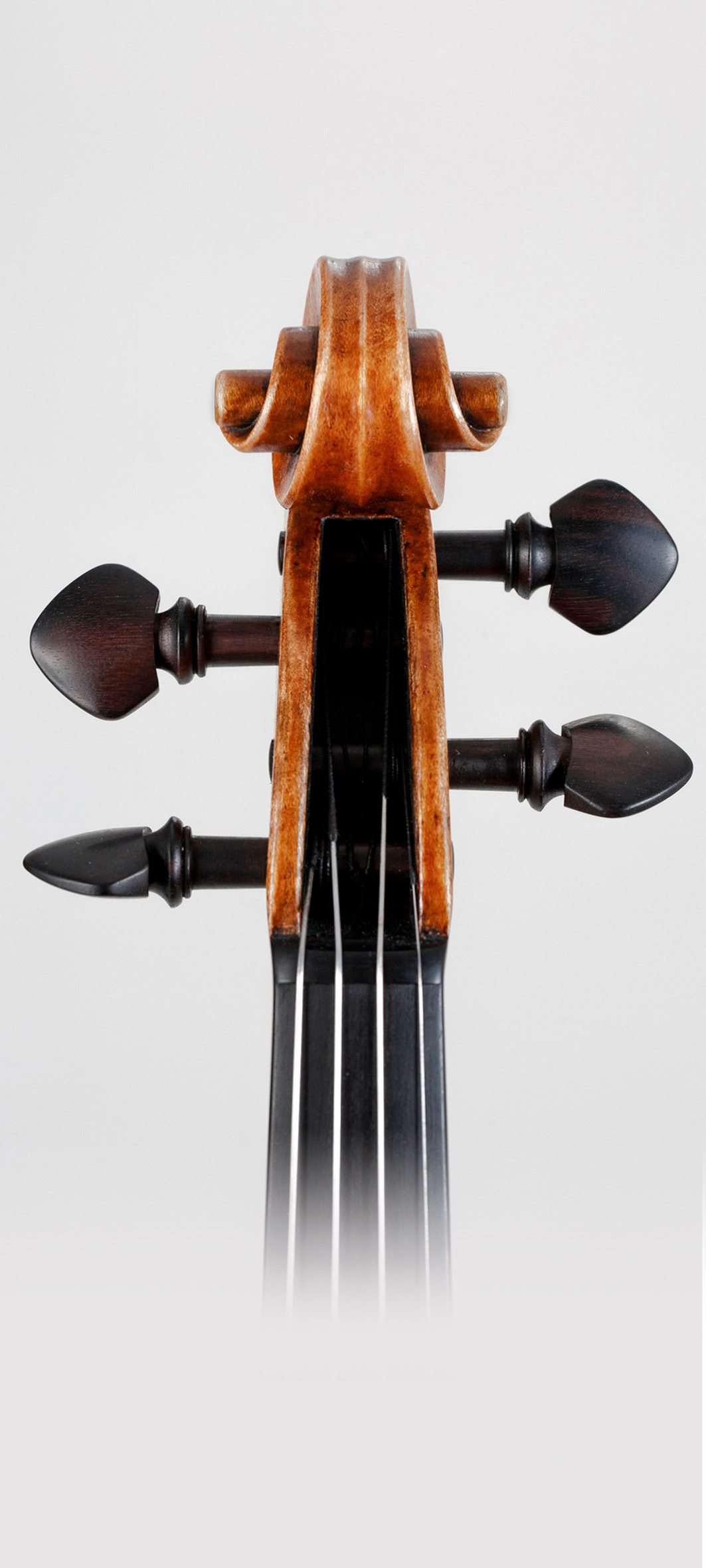 Franceso Ruggeri 2023 - Foto 3