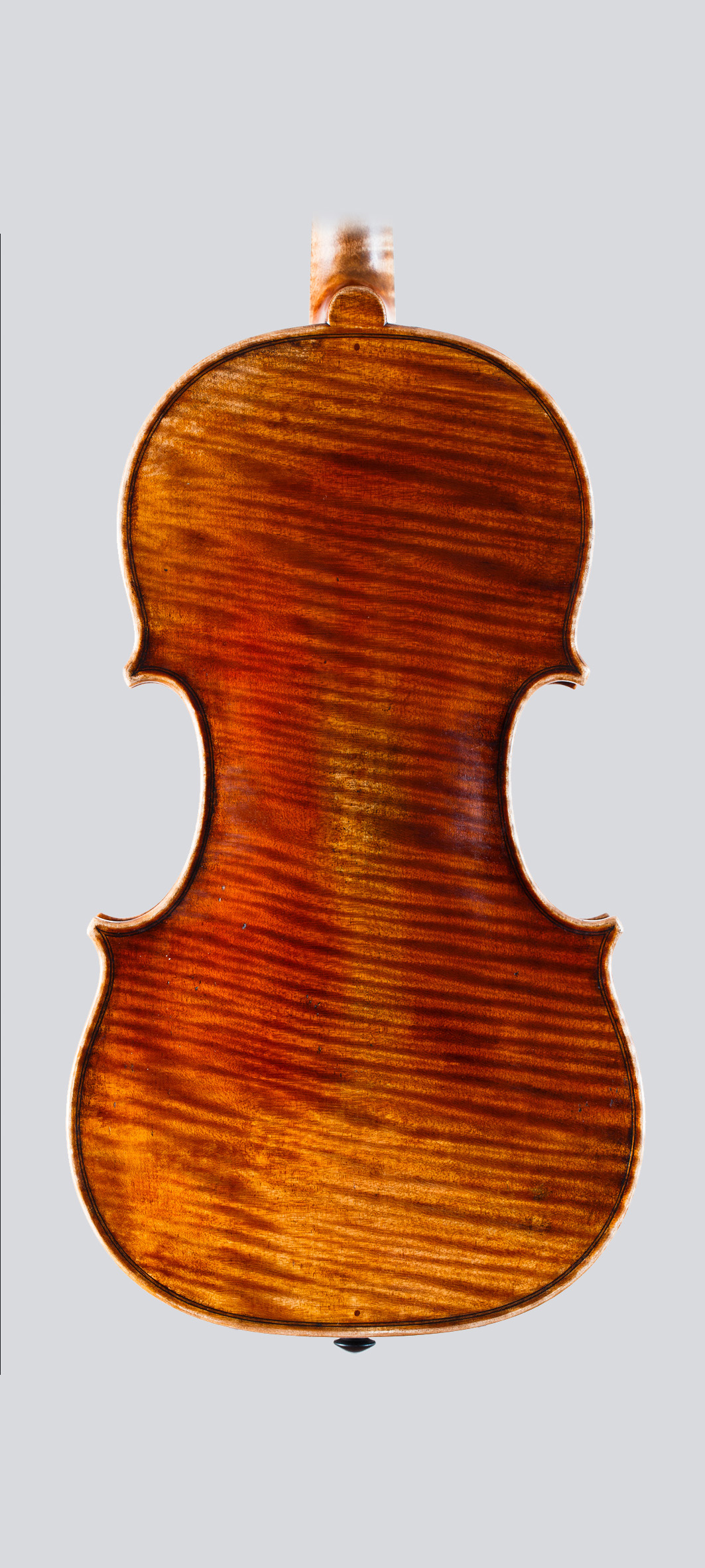 Franceso Ruggeri 2023 - Foto 6