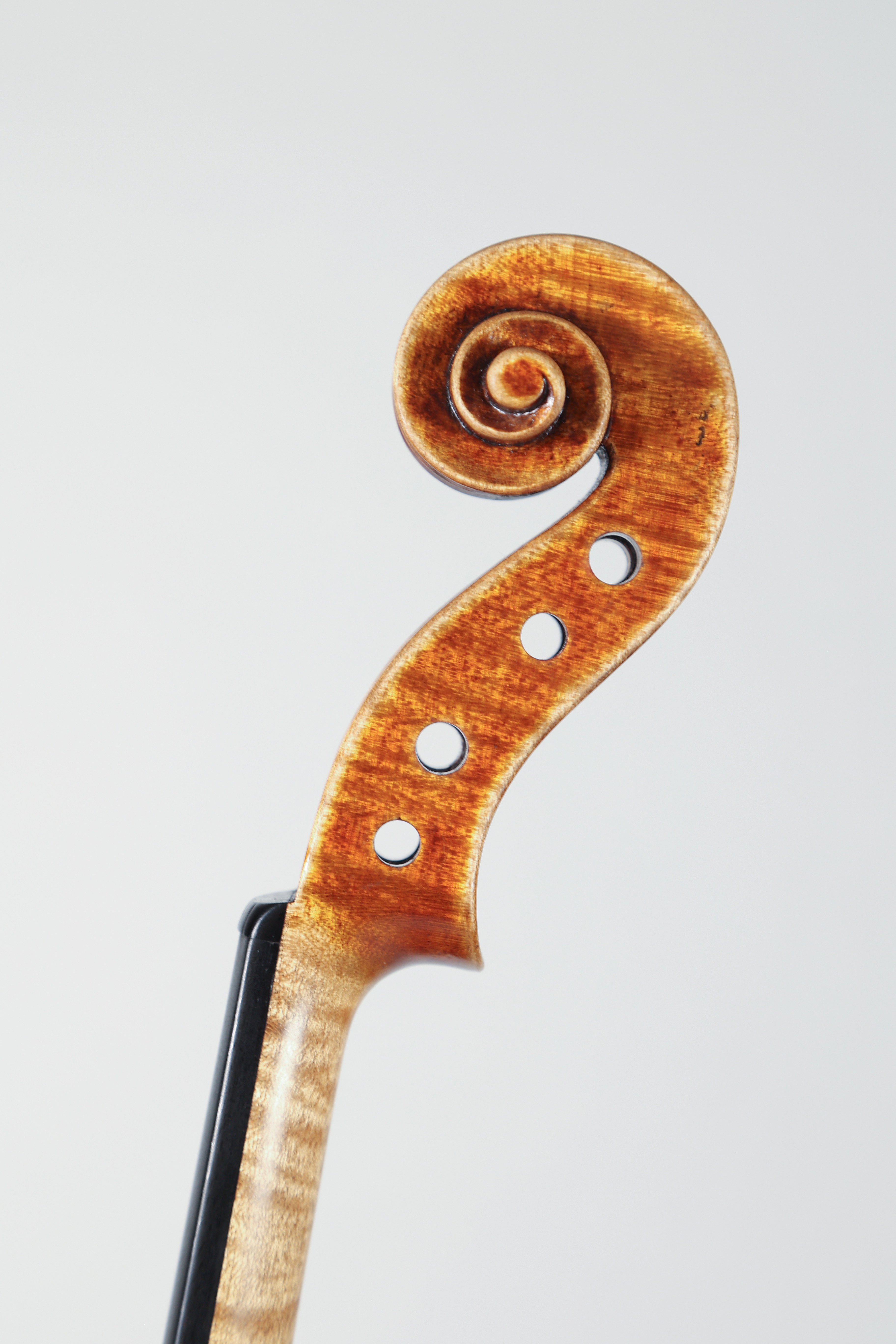 Guarneri del Gesu 2018 - Foto 2