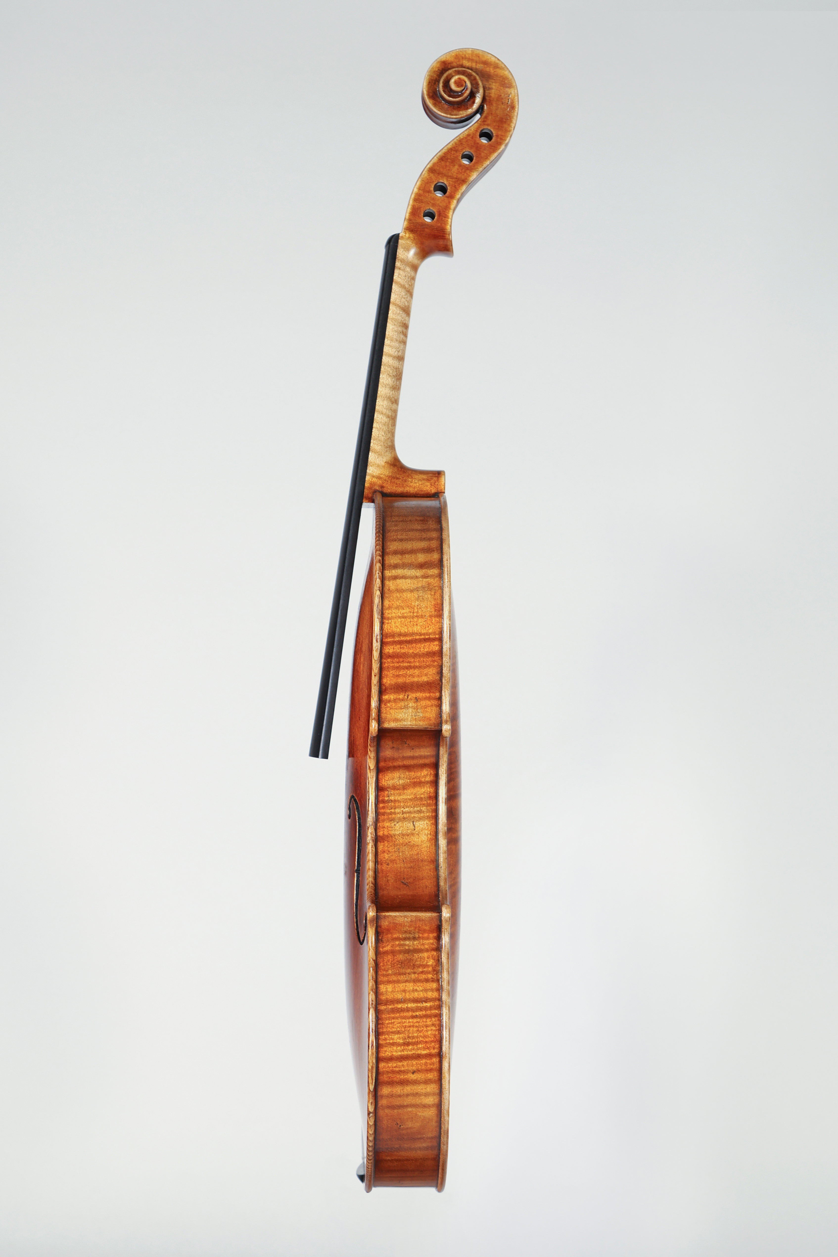 Guarneri del Gesu 2018 - Foto 5